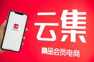 巨頭的圍搶中，會(huì)員電商云集的“成長(zhǎng)飛輪”還在加速